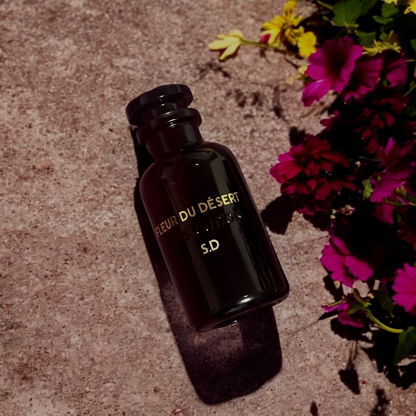 Fleur du Désert